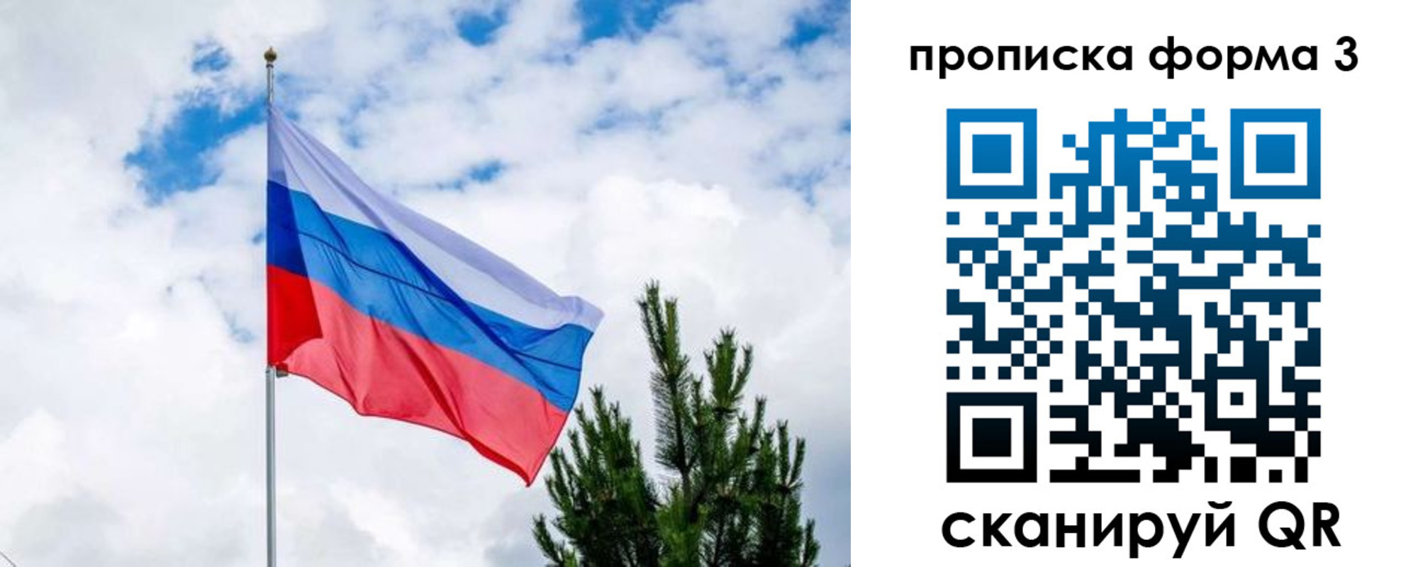 прописка для школы в Сясьстрое